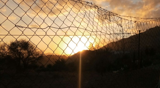 sunset fence @yellowsubwoofer