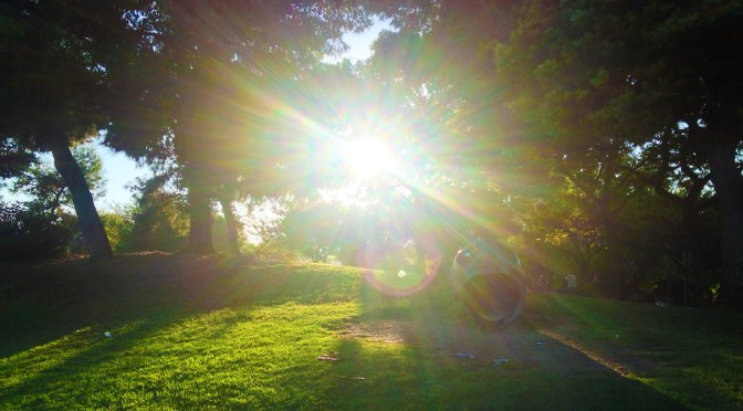 Chasing chicks, chasing sunset